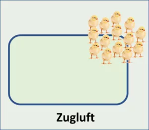 zugluft_kueken_waermeplatte