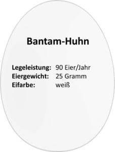 eierdetails-bantam-huhn