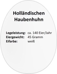 eierdetails_hollaendisches_haubenhuhn