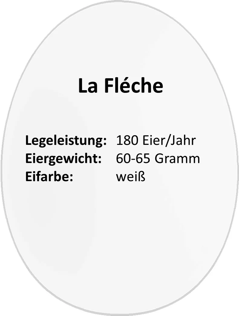 Das La Fléche Huhn » Infos & Tipps zu den La Fléche