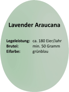eierdetails_lavender_araucana