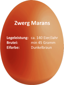 Infos zu den Zwerg Marans Eiern Legeleistung=140Eier/Jahr; Bruteimindestgewicht=45Gramm; Eierfarbe=dunkelbrauch