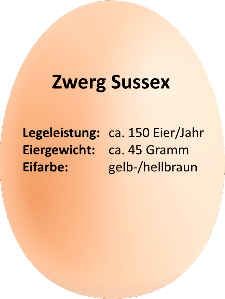 Das Zwerg Sussex » Infos & Tipps zu den Zwerg Sussex - EierDetails Zwerg Sussex 769x1024