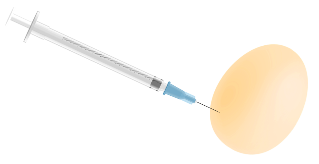 endokrinologischen_untersuchung_ei_geschlechtserkennung_huhn