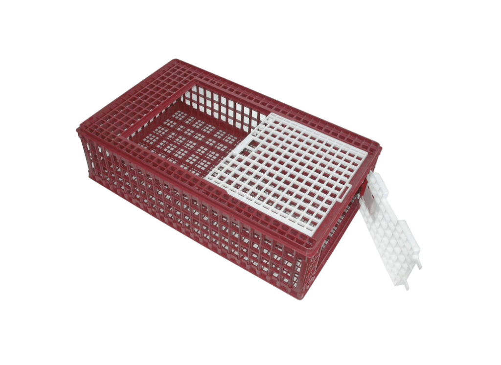 gefluegel_transportbox