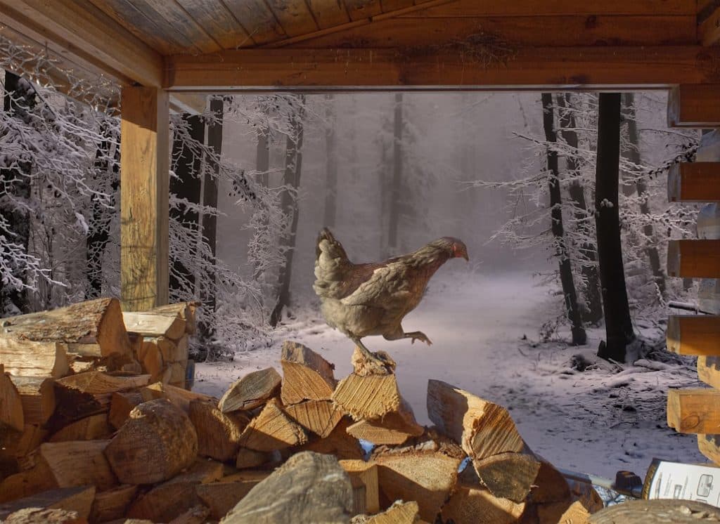 kurze_tage_im_winter