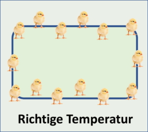 richtige_temperatur_wärmeplatte